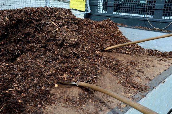 Cedar Bark Delivery in Redwood City
