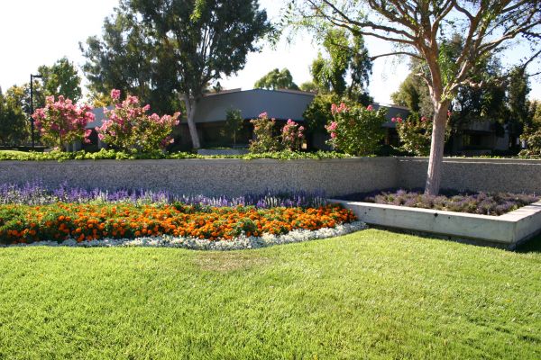 Commercial Landscape Service in Redwood City