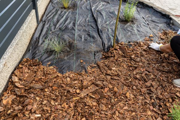 Pine Bark Spreading in Redwood City