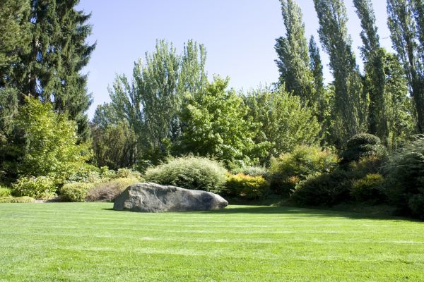 Yard Enlargement in Redwood City