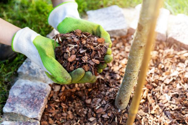 Tree Bark Delivery in Redwood City