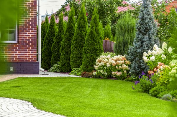 Spring Landscaping in Redwood City