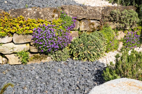 Landscaping Rocks Installation in Redwood City