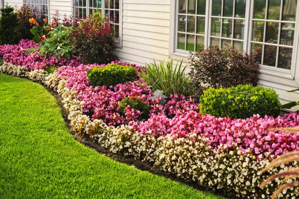 Garden Landscape Design in Redwood City
