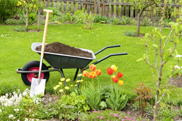 Spring Yard Renovation in Redwood City
