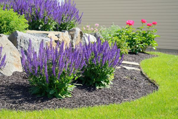 Landscape Planting Service in Redwood City