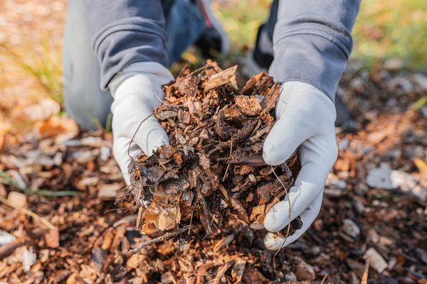 Shredded Mulch Installation in Redwood City