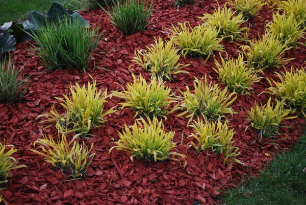 Red Mulch Installation in Redwood City