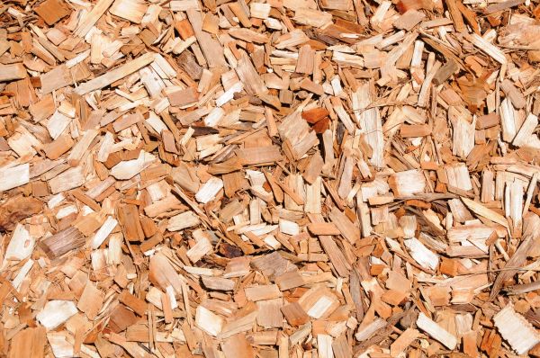 Cypress Mulch Spreading in Redwood City