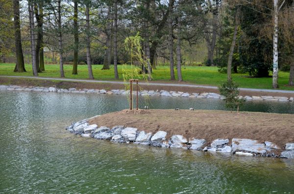 Pond Landscaping Service in Redwood City