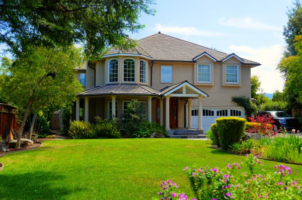 Large Yard Landscaping in Redwood City