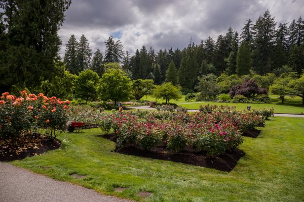 Flower Garden Landscaping in Redwood City