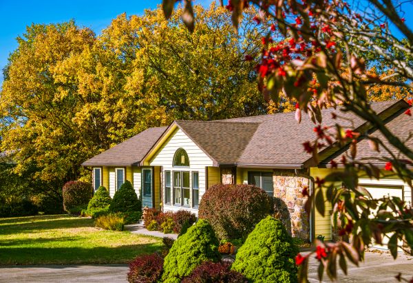 Ranch Landscaping in Redwood City