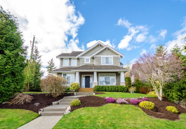 Landscaping Replacement in Redwood City
