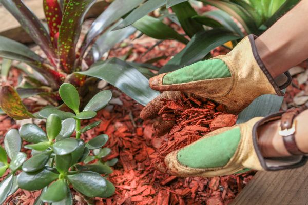 Residential Mulching in Redwood City