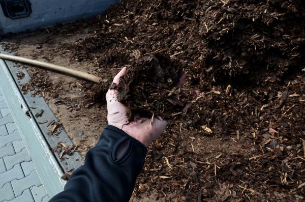 Condo Mulching in Redwood City