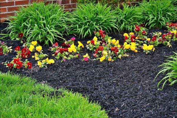 Apartment Mulching in Redwood City