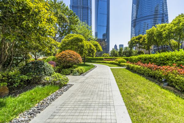 Commercial Landscaping in Redwood City