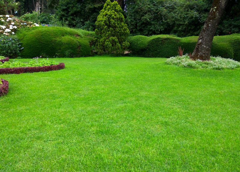 Commercial Lawn Renovation