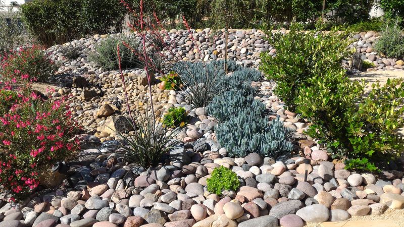 Dryscape Landscaping