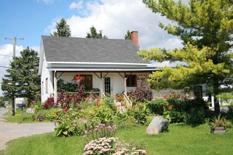 Spring Yard Renovation